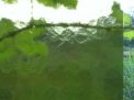 t35 Landheer Glas Breda